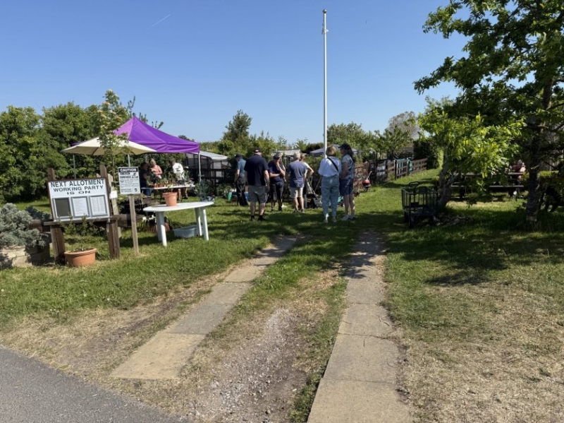 Shepherd Road Allotments